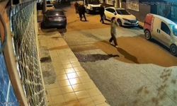 Kayıp Mihriban'ın cesedi ormanda bulundu; 1 tutuklama