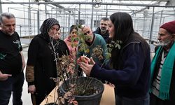 Keçiören Belediyesi’nden bilinçli yetiştiricilik eğitimi