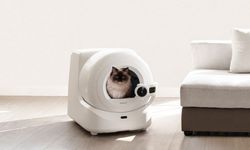 Yüksek teknoloji ürünü tuvaletlerle kedi sağlığı yakından takip ediliyor