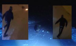 Görüntülemek istedikleri kurdun saldırısından araçlarına binerek kurtuldular