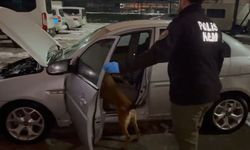 Malatya'da uyuşturucu operasyonu; 13 tutuklama