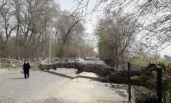 Marmara'da fırtına, Trakya'da şiddetli yağış bekleniyor