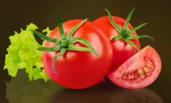 Muğla Milas'ta talep edene ücretsiz yerel tohum