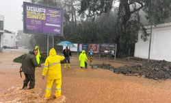 Antalya'da afet: Seraları su bastı, kaldırımlar çöktü