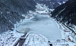 Trabzon'da hava sıcaklığı sıfırın altına düştü! Uzungöl buz tuttu