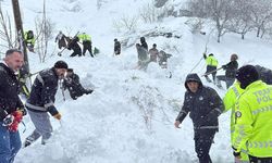Van'da çığ düşen evdeki kadın yaralı kurtarıldı; 20 ev tahliye edildi
