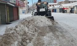 Van'da 405, Hakkari'de 353 yerleşim yerinin yolu ulaşıma kapandı