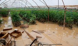 'Sarı kod'la uyarılan Antalya'da tarım alanları su altında kaldı