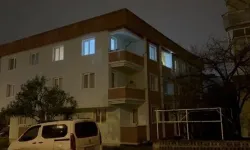 Kavgayı ayıran ablasını bıçakla yaralayıp, pencereden atladı