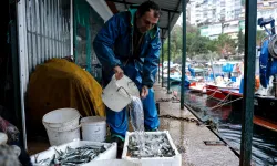 Bursa'da yüzde 100 hibeli mazot desteği!