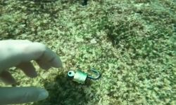 Denizden 'büyü ve dilek' malzemelerini çıkarıyor