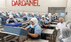 Dardanel'de 100'ün üzerinde işçinin işine son verildi