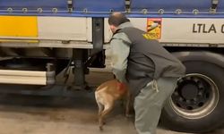 Edirne’de 240 kilo skunk ele geçirildi: 1 şüpheli yakalandı