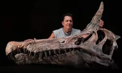 Bilim dünyasını sarsan keşif! Efsaneler gerçek mi?