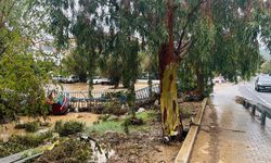 İzmir Foça'da sağanak; dereler taştı, denizin rengi değişti