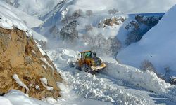 Hakkari-Van ve Hakkari-Çukurca kara yollarına çığ düştü