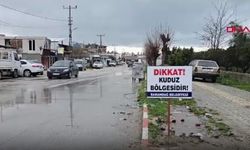 Hatay’da 4 mahalle ‘kuduz risk bölgesi’ ilan edildi