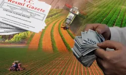 Hazine destekli kredilerde yeni dönem; çiftçi ve esnafa kredi şartları yenilendi