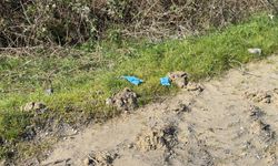 Çinli iş insanının cesedi elleri ve ayakları bağlı toprağa gömülü bulundu