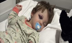 Baba ve 14 aylık bebeğe saldırı: İçişleri Bakanlığı müfettiş görevlendirdi