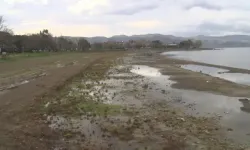 Fabrikaların tonlarca su çektiği İznik Gölü 200 metre çekildi