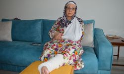 Kardeşi tarafından miras nedeniyle dövülen kadın şikayetçi oldu