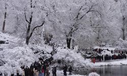 New York'ta soğuk hava nedeniyle 18 kişi hayatını kaybetti