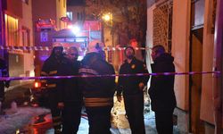 Cehennemi yaşadılar! 26 kedi yanarak can verdi