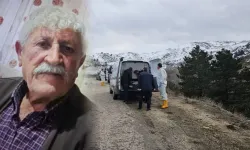 Bedeni parçalanıp poşetlere konulmuştu: Yaşlı adamın kesik başı ormanda bulundu