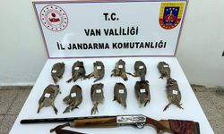Durdurulan araçta ruhsatsız av tüfeği ile vurulmuş 12 kınalı keklik ele geçirildi