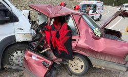 Minibüsle çarpışan otomobilin sürücüsü ve eşi öldü