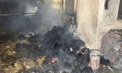 Tekirdağ'da çiftlik yangınında, 60 küçükbaş öldü