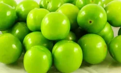 Türkiye'den Irak'a giden yeşil erik, kilosu 500 dolardan satılıyor!