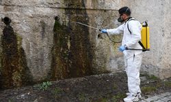 Mamak’ta haşereyle mücadele sürüyor