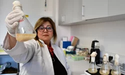 Akademisyenlerden gıdada devrim niteliğinde buluş