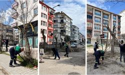 Kahramankazan’da ağaçlar budanıyor, yaşam alanları nefes alıyor