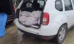 İstanbul'da satışa hazır 306 kilo at eti yakalandı