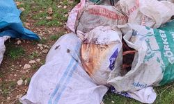 Şanlıurfa´da çuvallarda kesilmiş at başı bulundu!