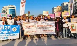 Türk Tabipleri Birliği ‘Beyaz Yürüyüş’ başlattı