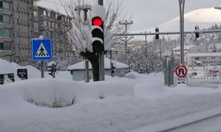 Bitlis'te 300, Kars'ta 32 köy ve mezra yolu ulaşıma kapandı