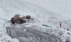 Şırnak-Hakkari yolunda çığ: 40 yolcu mahsur kaldı