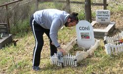 Türkiye'nin ilk evcil hayvan mezarlığına bayram ziyareti