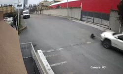 Cip sürücüsü köpeği ezdi yoluna devam etti; o anlar kamerada