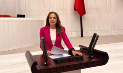 CHP'li İlgezdi: Gıda fiyatlarındaki artışın sebebi savaş değil, AK Parti'dir