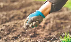 Orta Doğu’daki savaş gübre piyasasını vurdu: Fiyatlar hızla yükseliyor