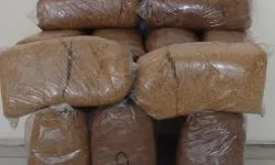 Samsun'da kaçak tütün operasyonu