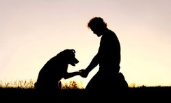 Araştırma: Köpek sahibi olmak kalp sağlığını destekliyor