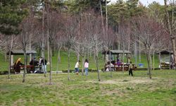 Başkentliler bayramda mesire alanlarını doldurdu