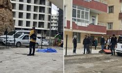 Binanın 10'uncu kat balkonundan düşen genç kız hayatını kaybetti