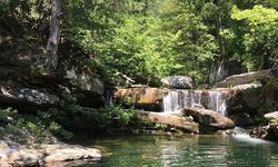 Milli Parklar Teklifine ‘gelir baskısı’ eleştirisi